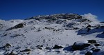 Skjeldrane
