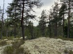 Kirkkokivenkallio