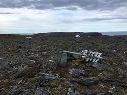 Vestfjordfjellet