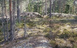 Spinnerhuet