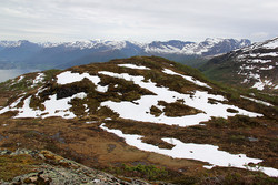Høgehaugen