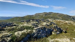 Vest for Hauganøse