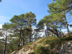 Hovåsen Sør