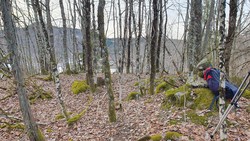 Neshøgda