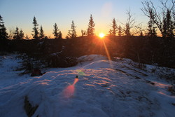 Nyhusknappen