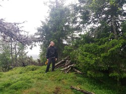 Hovdekollen