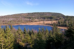 Skarrudkollen