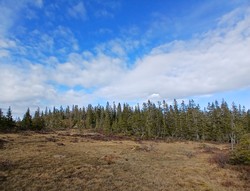 Sandbotnhaugen