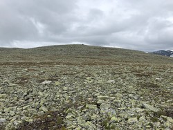 Storlifjell Vest