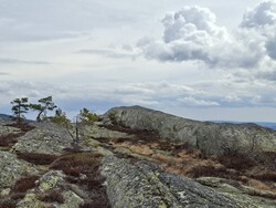 Stordalsheia Nord