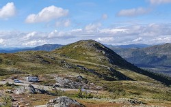 Storhovde