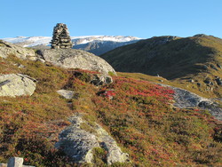 Nyken