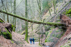 Landgrafenschlucht