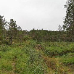 Spjøtneshatten