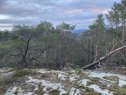 Skifteåsen