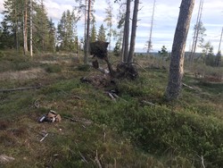 Tangenåsen sør