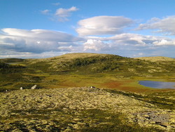 Hestehovda