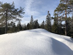 Rolighaugen