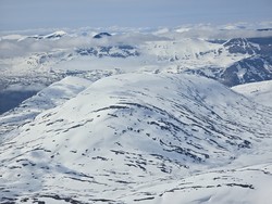 Loasevárri