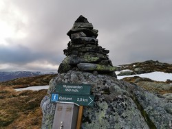 Mosesvarden
