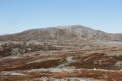 Krøshøa
