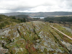 Orrnipa