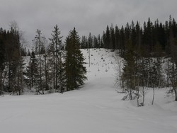 Skolthaugen