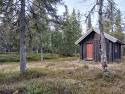 Bjørnkollen