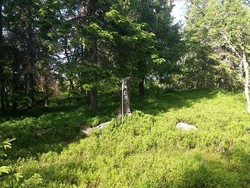 Lauvsvehøgda