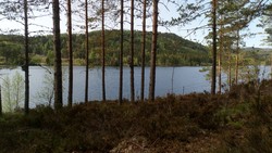 Sæterberget