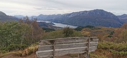 Grøneholten