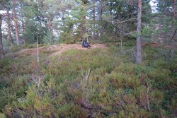 Tømmerås Nord