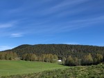 Anbjørgåsen