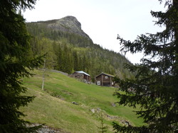 Nessetrona