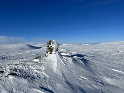 Saukampen Sørvest