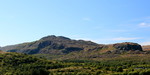 Størvet