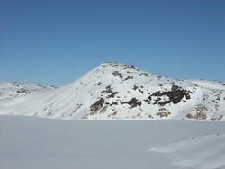 Bergeheii
