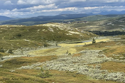 Stølhaugen
