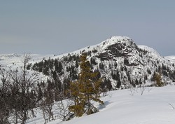 Kvelvsanatten