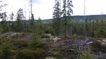 Skålia