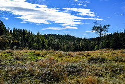 Kvibergåsen