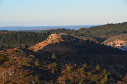 Bergsodden