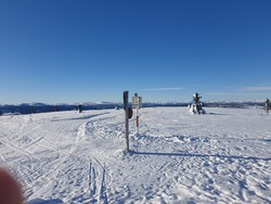 Høgåsen