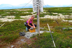 Finnstadhøa