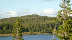 Storvalheia