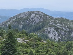 Kjersfjell