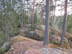 Øst i Tveter