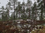 Sagstuåsen