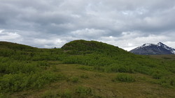 Puskehaugen