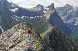Blånebba Søreggen